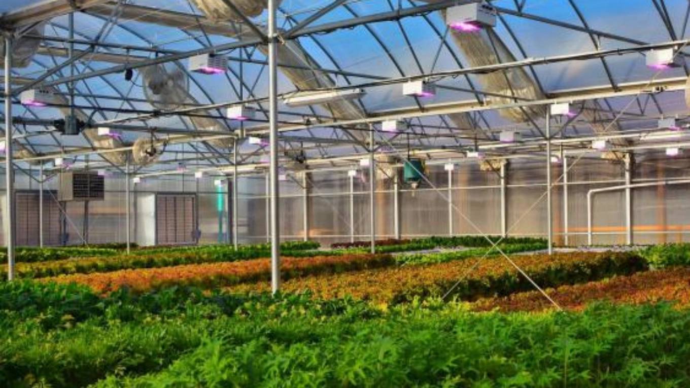 هوشمند سازی گلخانه چیست؟