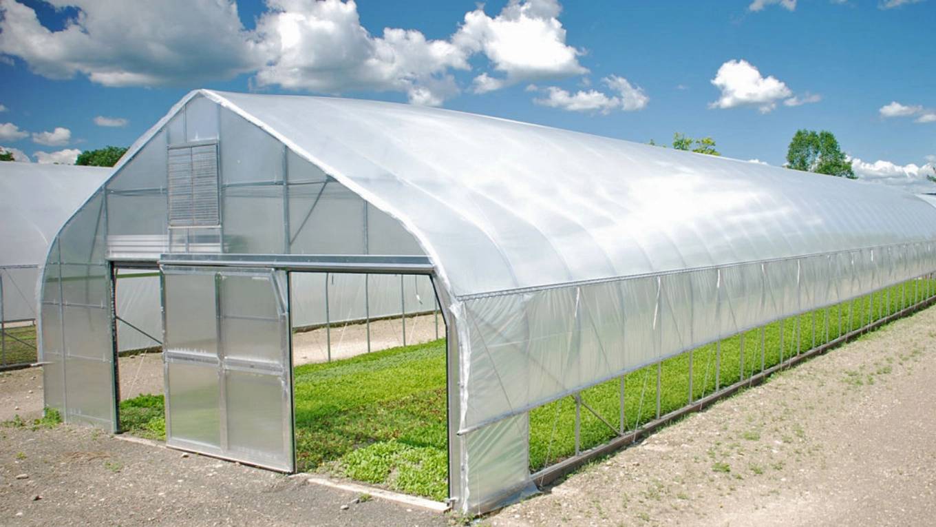 گلخانه هوشمند چگونه آینده کشاورزی را متحول می کند؟ گلخانه هوشمند چگونه آینده کشاورزی را متحول می کند؟